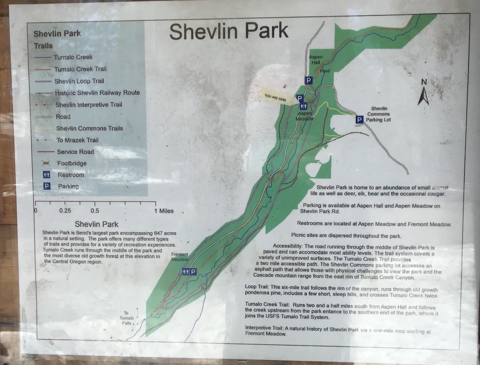 2018-03-05_11-27-07_266