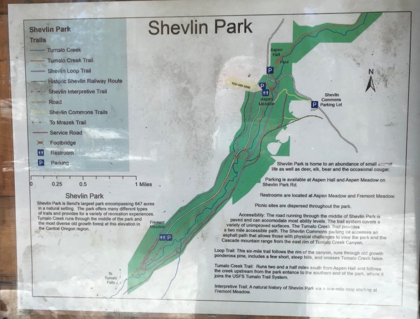 2018-03-05_11-27-07_266