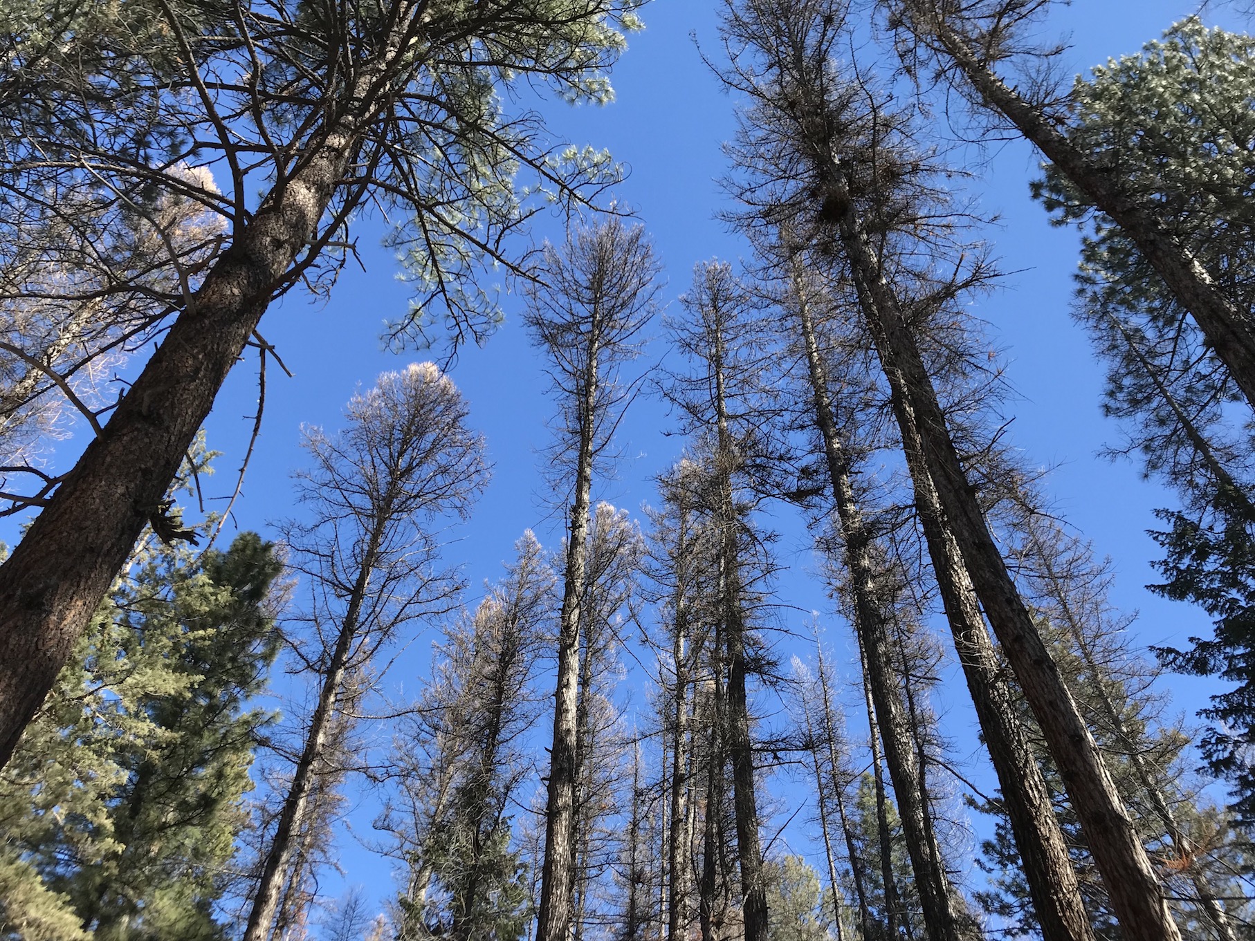 2018-03-05_11-57-01_585