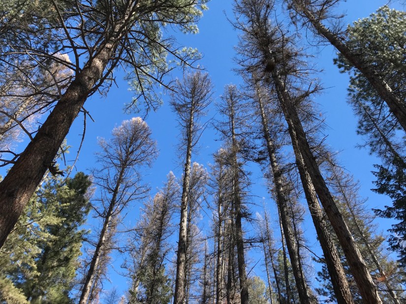 2018-03-05_11-57-01_585