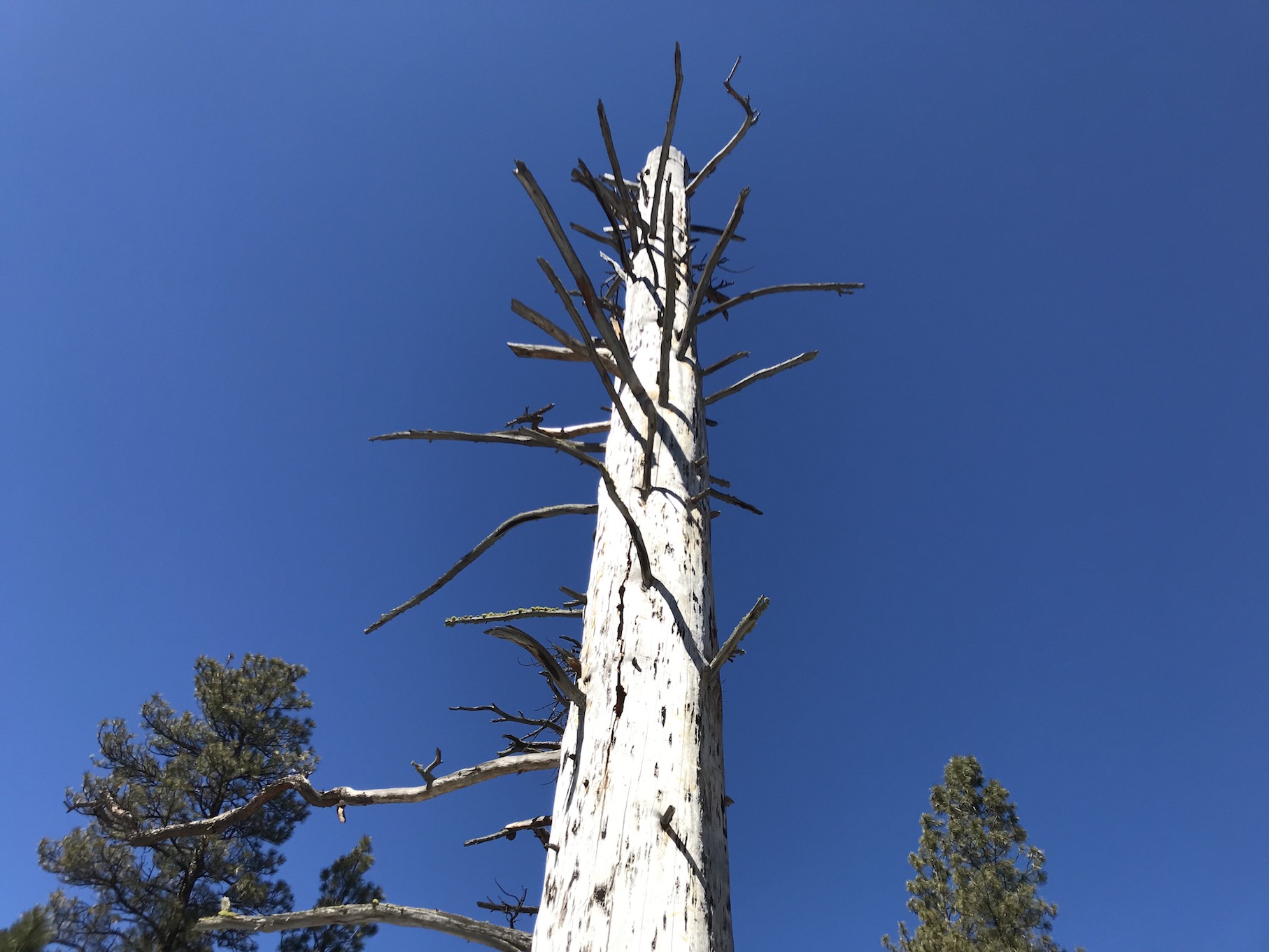 2018-03-05_12-06-57_614