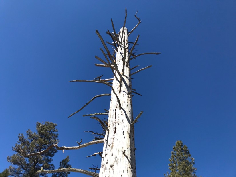 2018-03-05_12-06-57_614