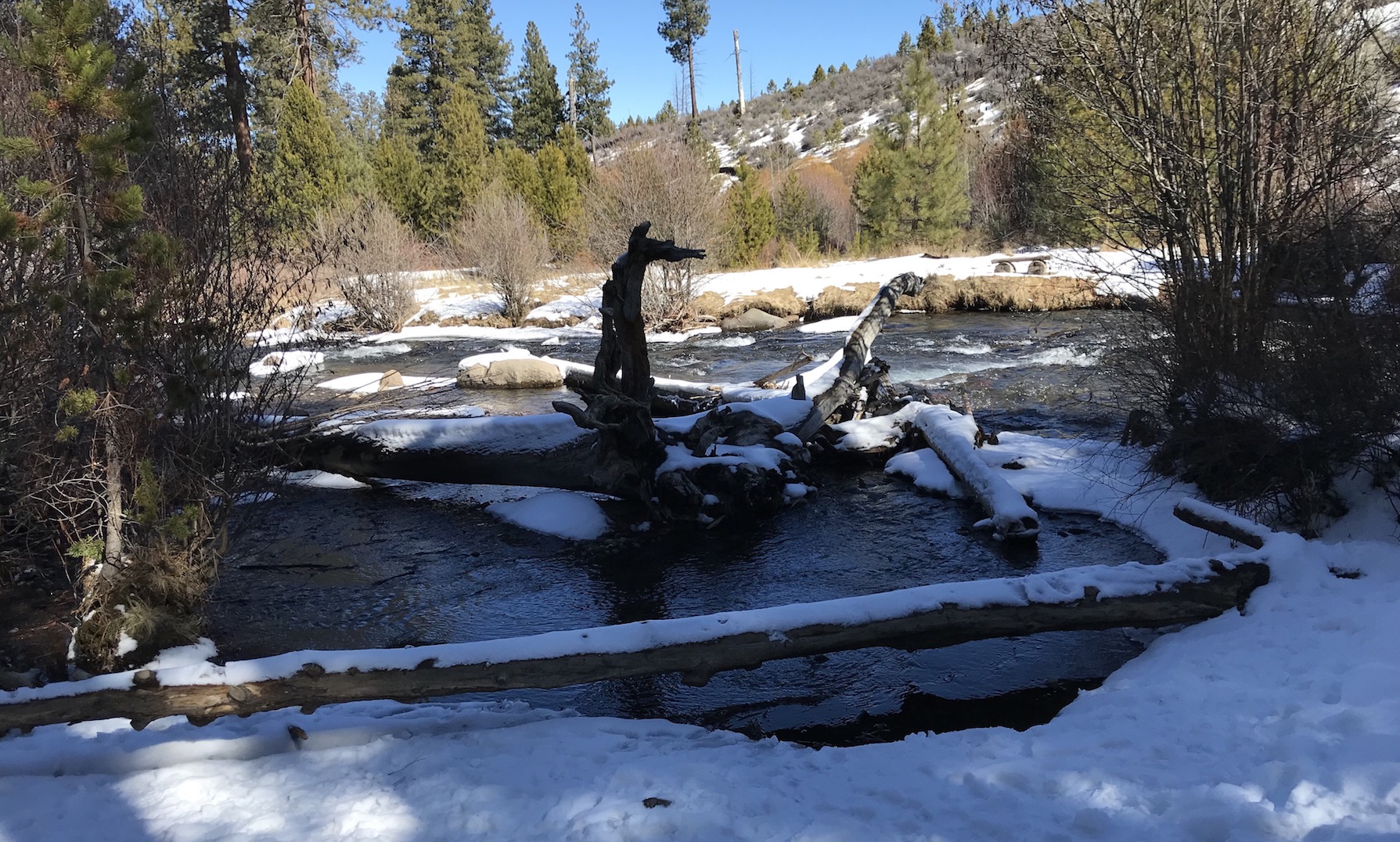 2018-03-05_12-17-00_378