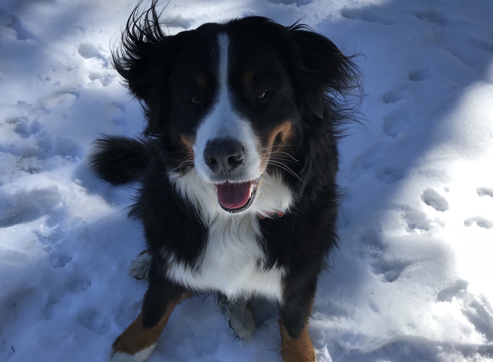 2018-03-05_12-17-09_827