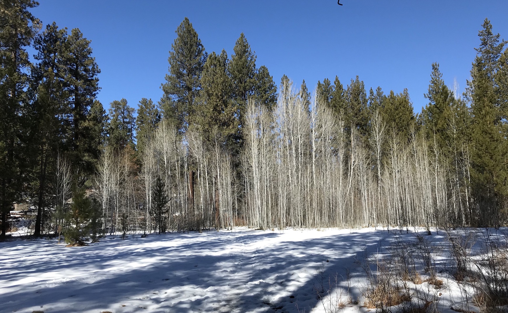 2018-03-05_12-18-41_208