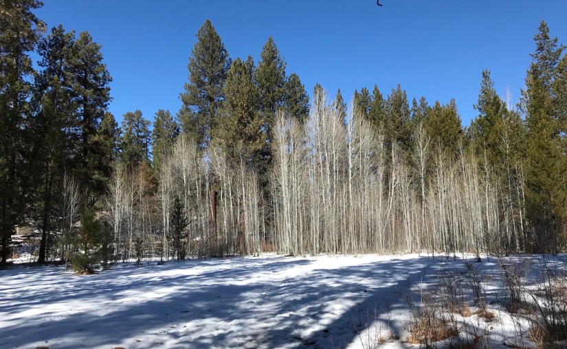 2018-03-05_12-18-41_208