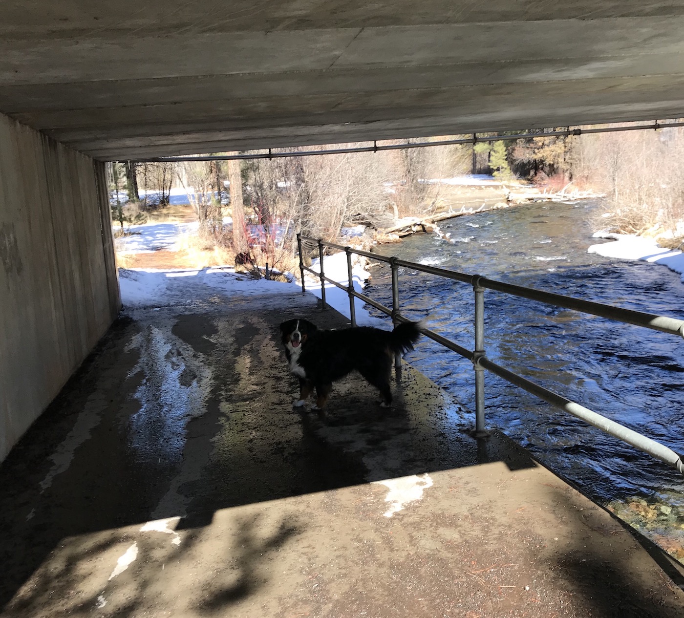 2018-03-05_12-21-20_236