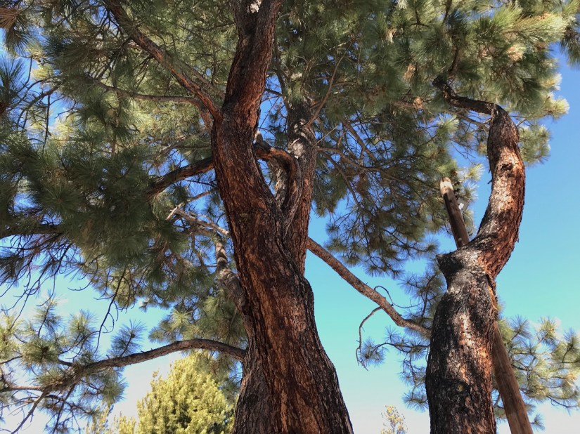 2018-03-05_12-25-05_506