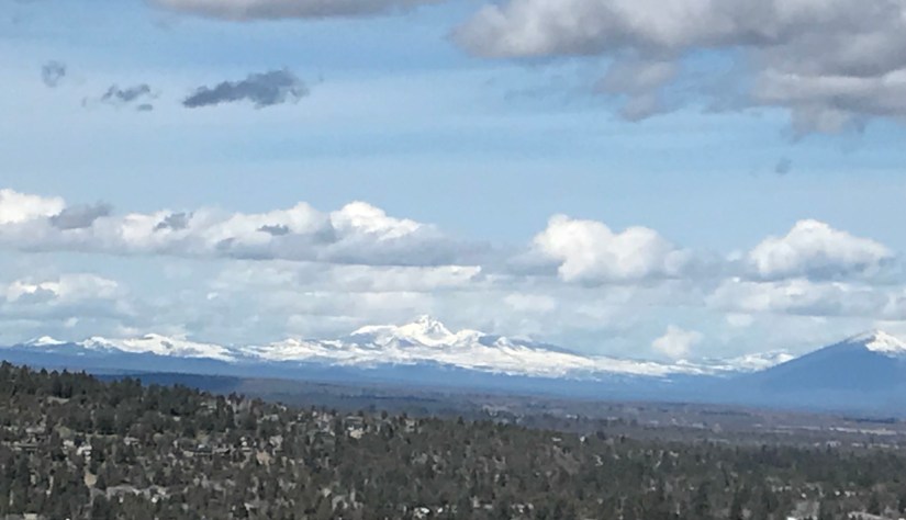 2018-03-19_11-53-36_117