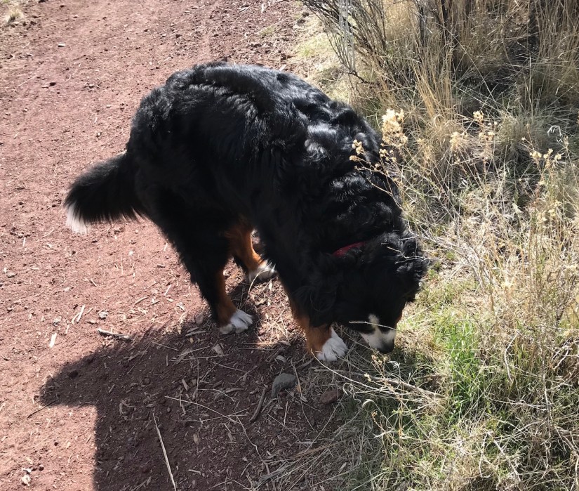 2018-04-02_11-45-03_552