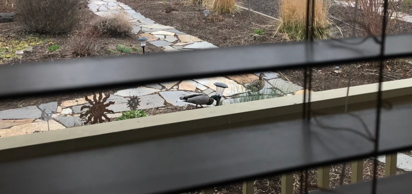 2018-04-15_09-08-55_859