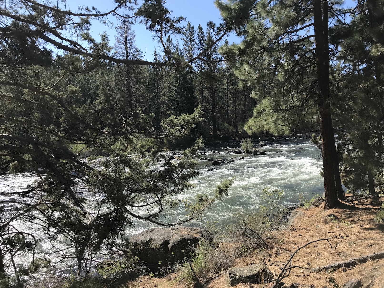 2018-05-07_10-17-23_710