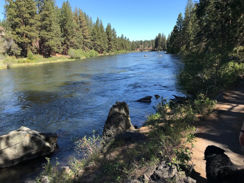 2018-05-07_10-41-47_138