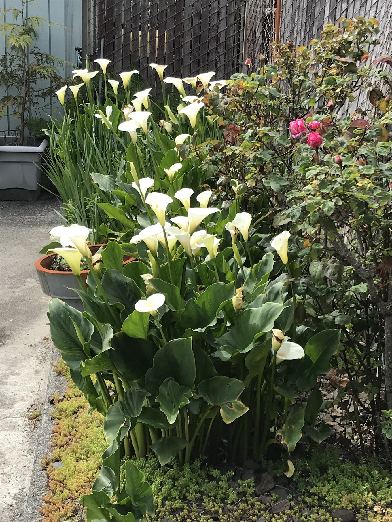 2018-05-16_14-40-12_224