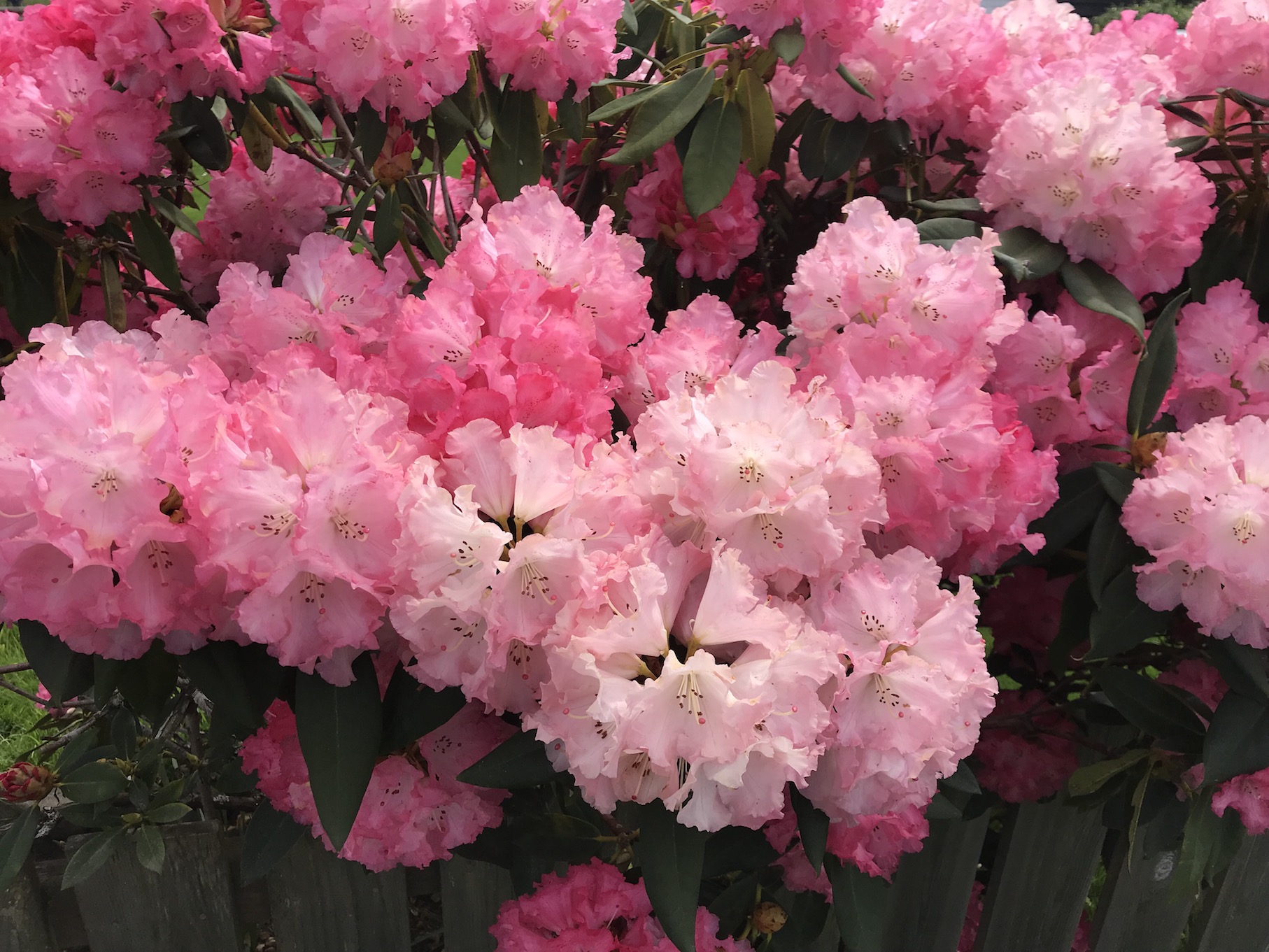 2018-05-16_14-43-26_539