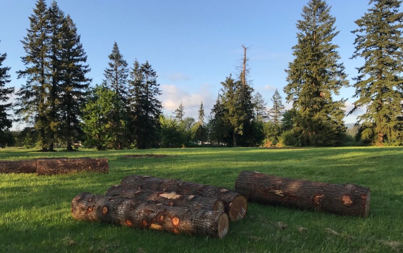 2018-05-18_19-34-37_495