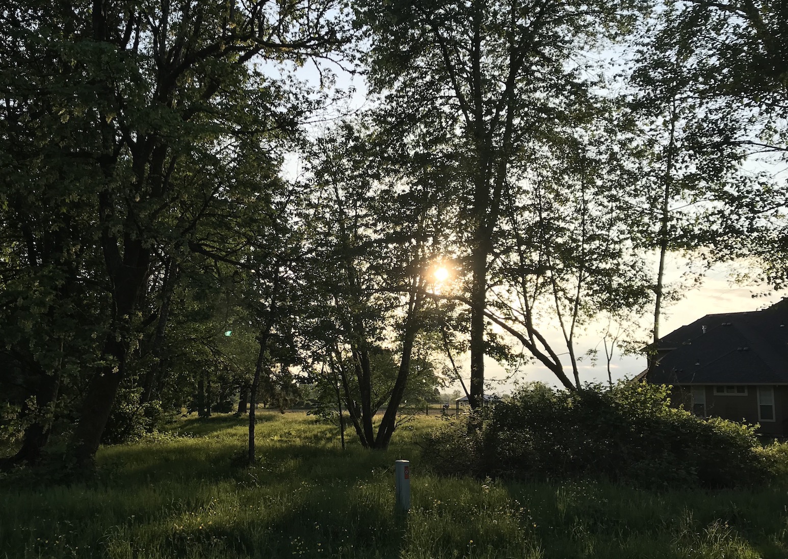 2018-05-18_19-34-54_310