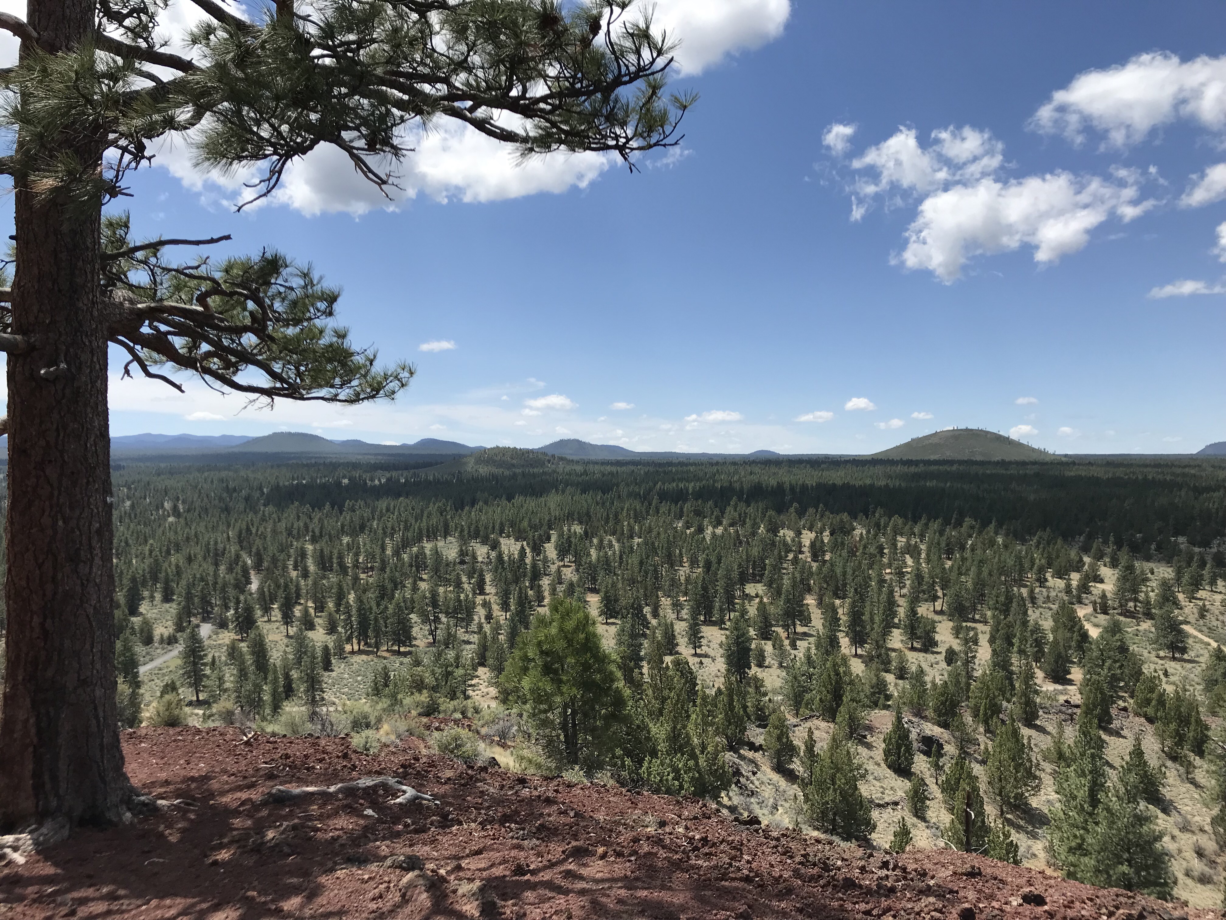 2018-06-04_12-31-00_717