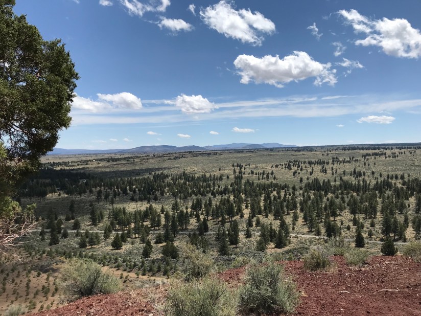 2018-06-04_12-31-02_518