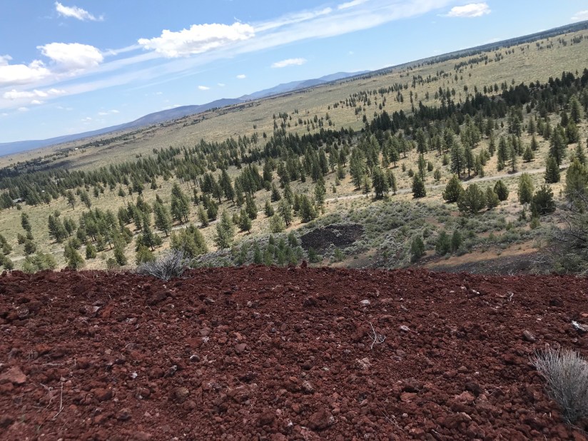 2018-06-04_12-33-30_210