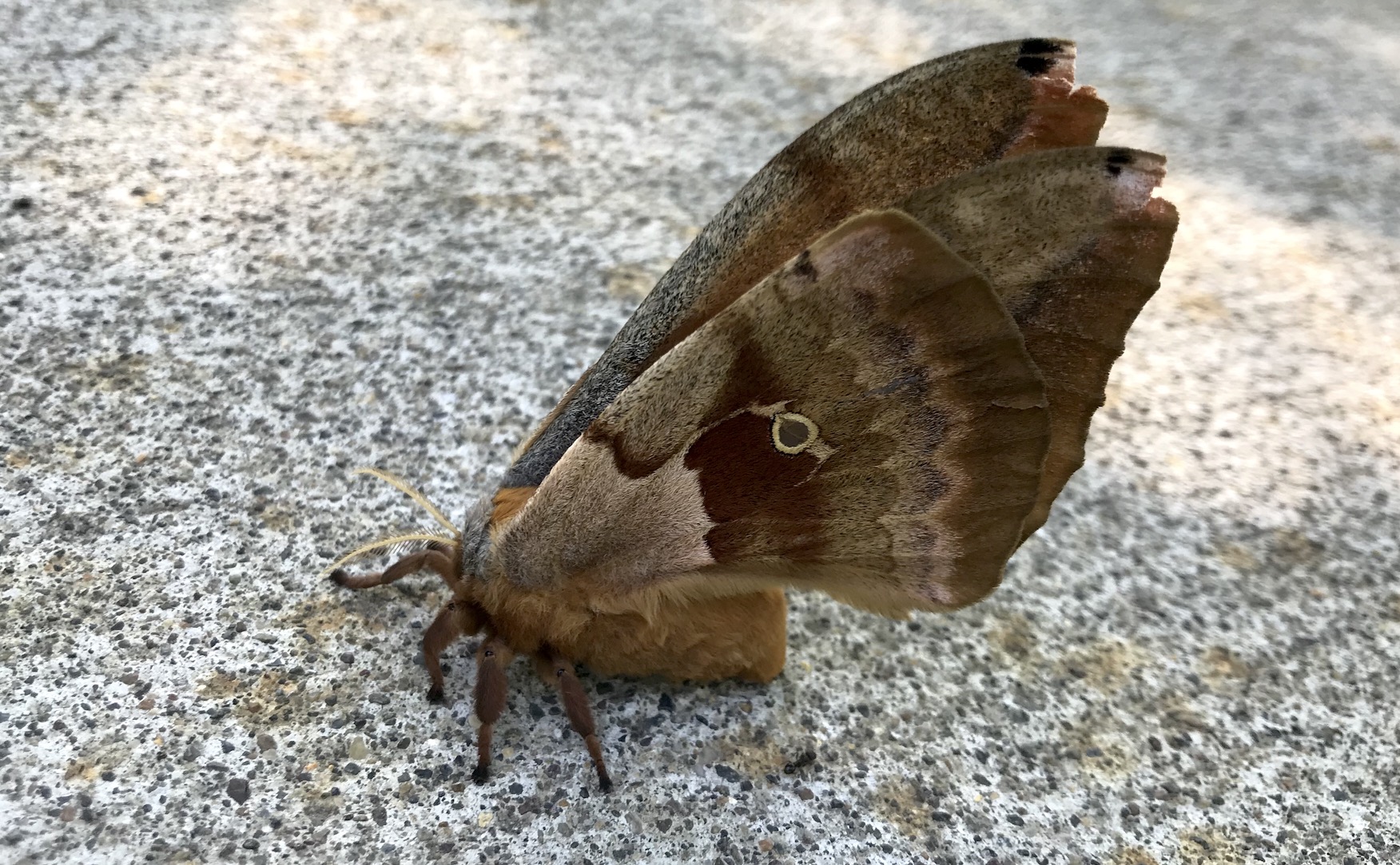 2018-06-24_10-30-18_321