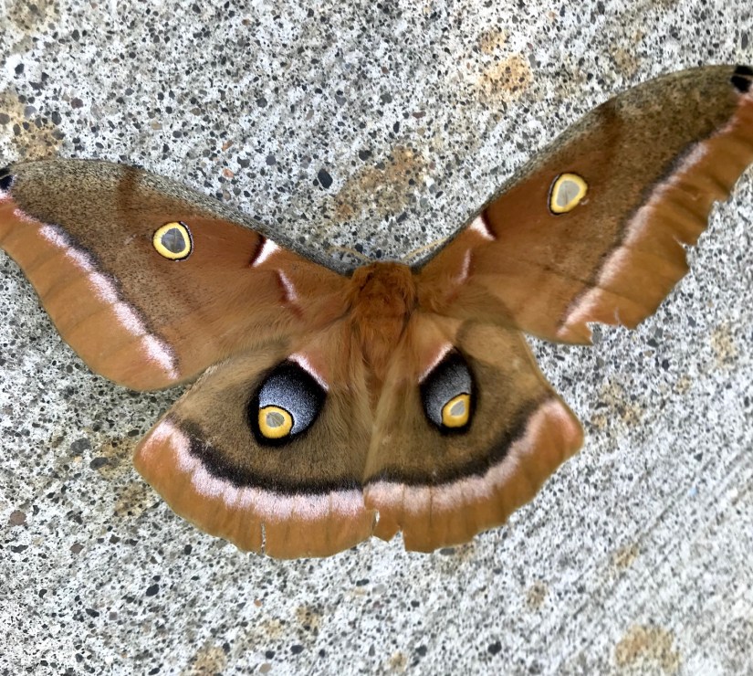 2018-06-24_10-31-12_671