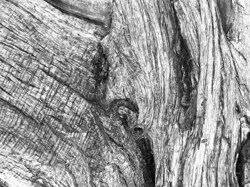 2018-07-03_18-58-08_666