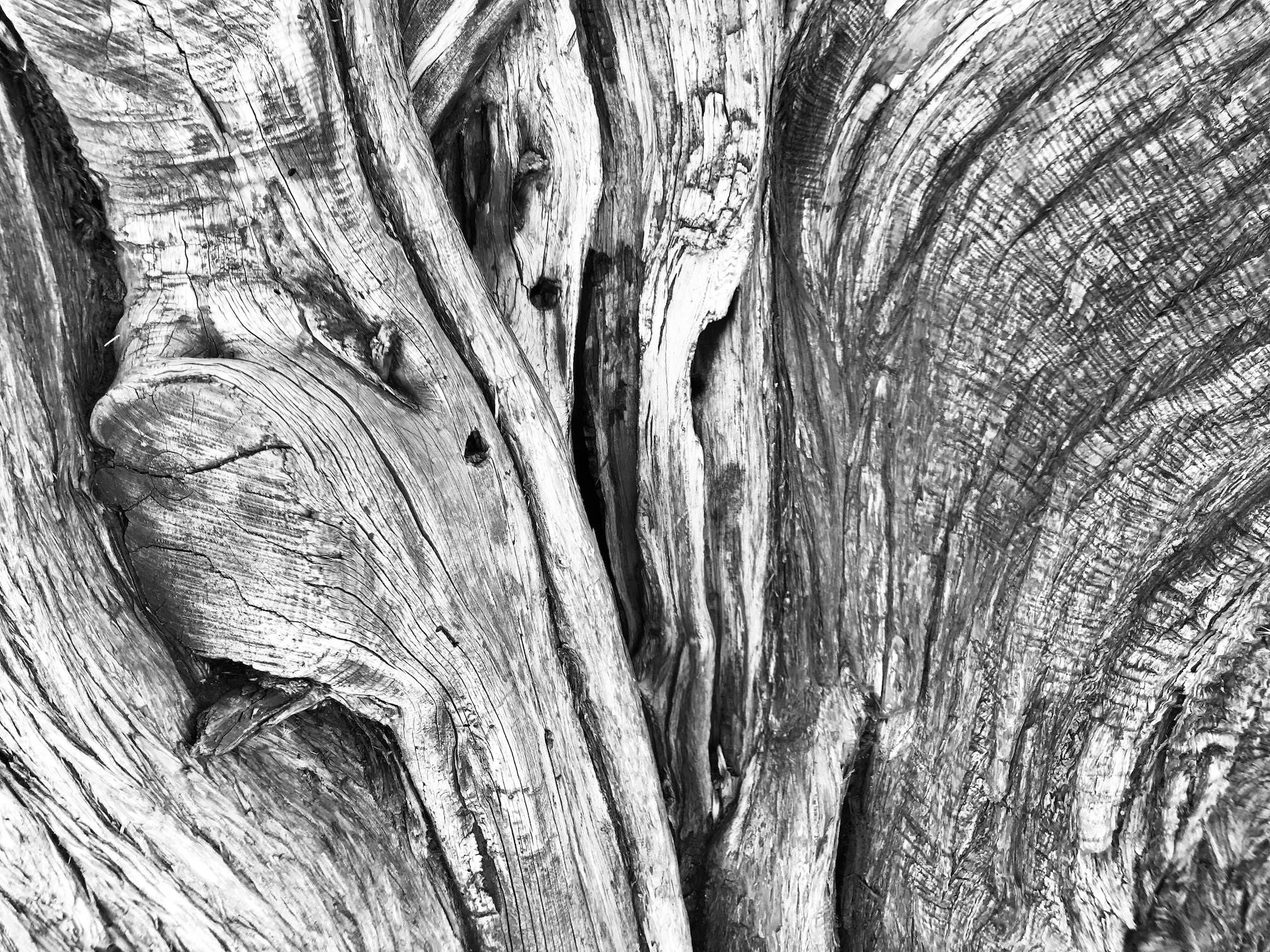 2018-07-03_18-58-14_138