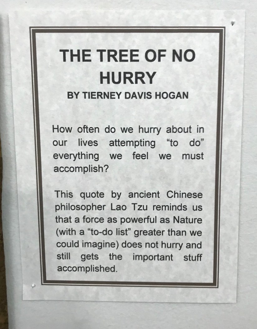 2018-07-06_17-38-19_140