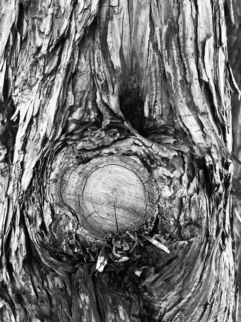 2018-07-08_18-53-37_665