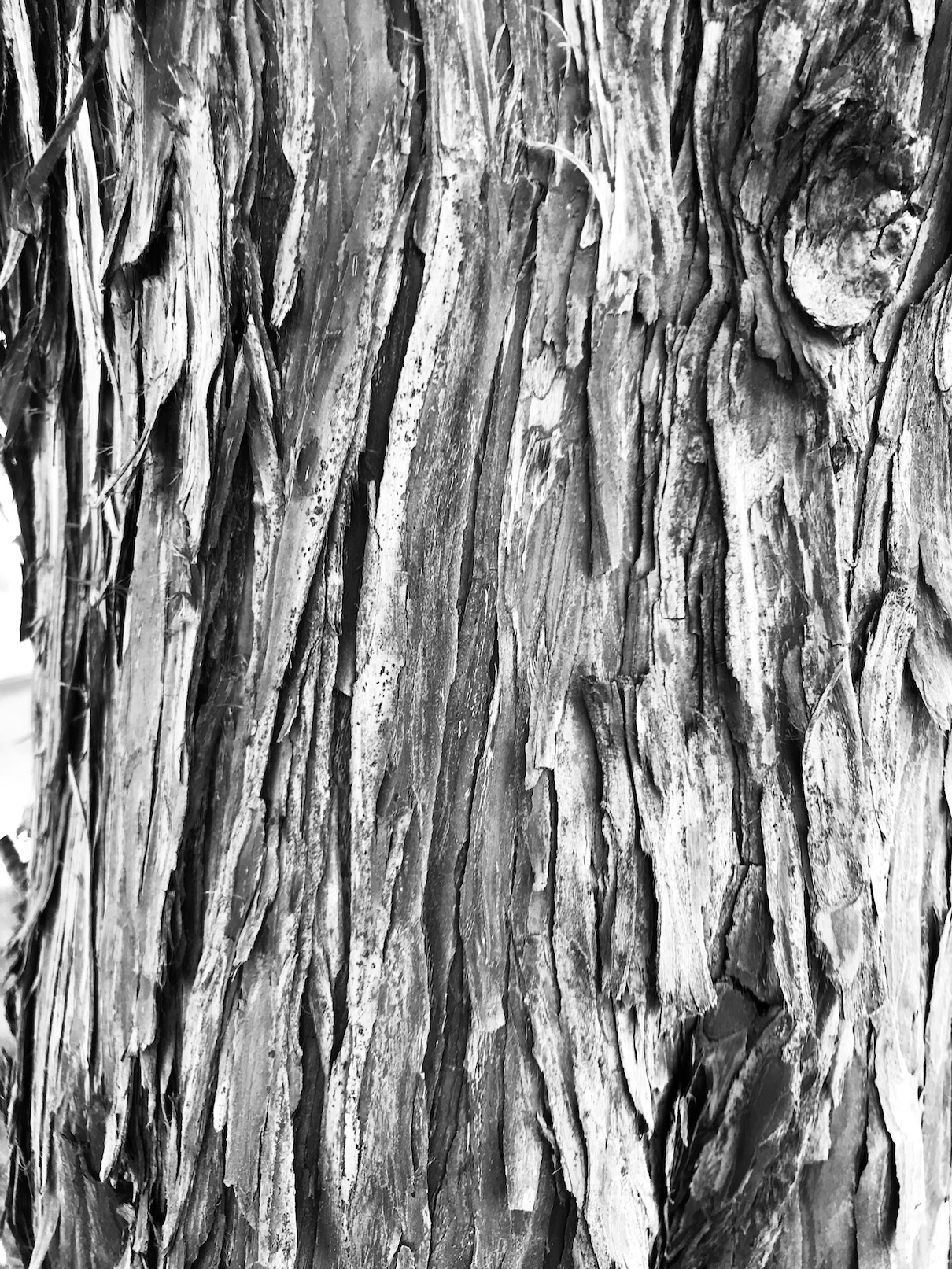 2018-07-08_18-53-44_372