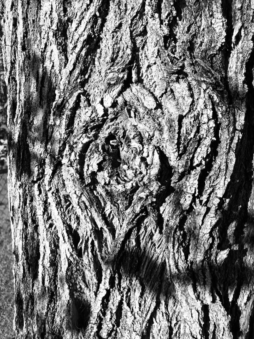 2018-07-08_18-57-13_261