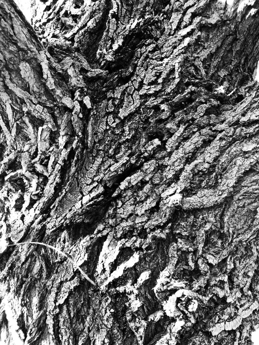 2018-07-08_18-57-19_133