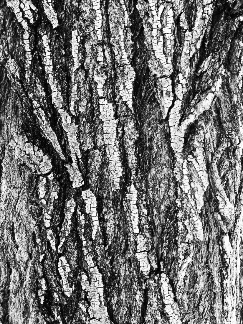 2018-07-08_18-57-32_178