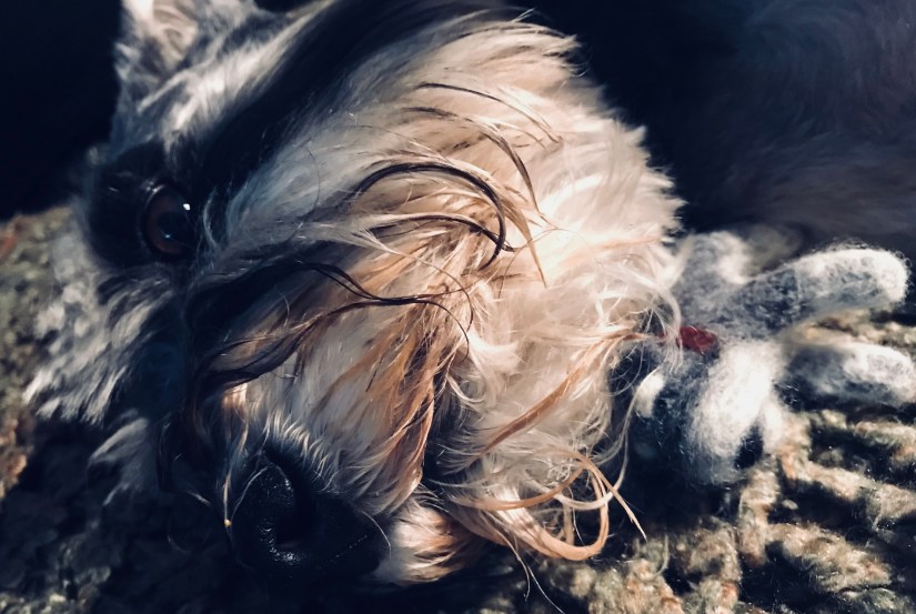 2018-07-27_18-14-13_700