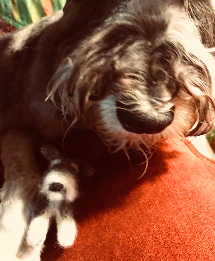 2018-07-27_18-15-31_688