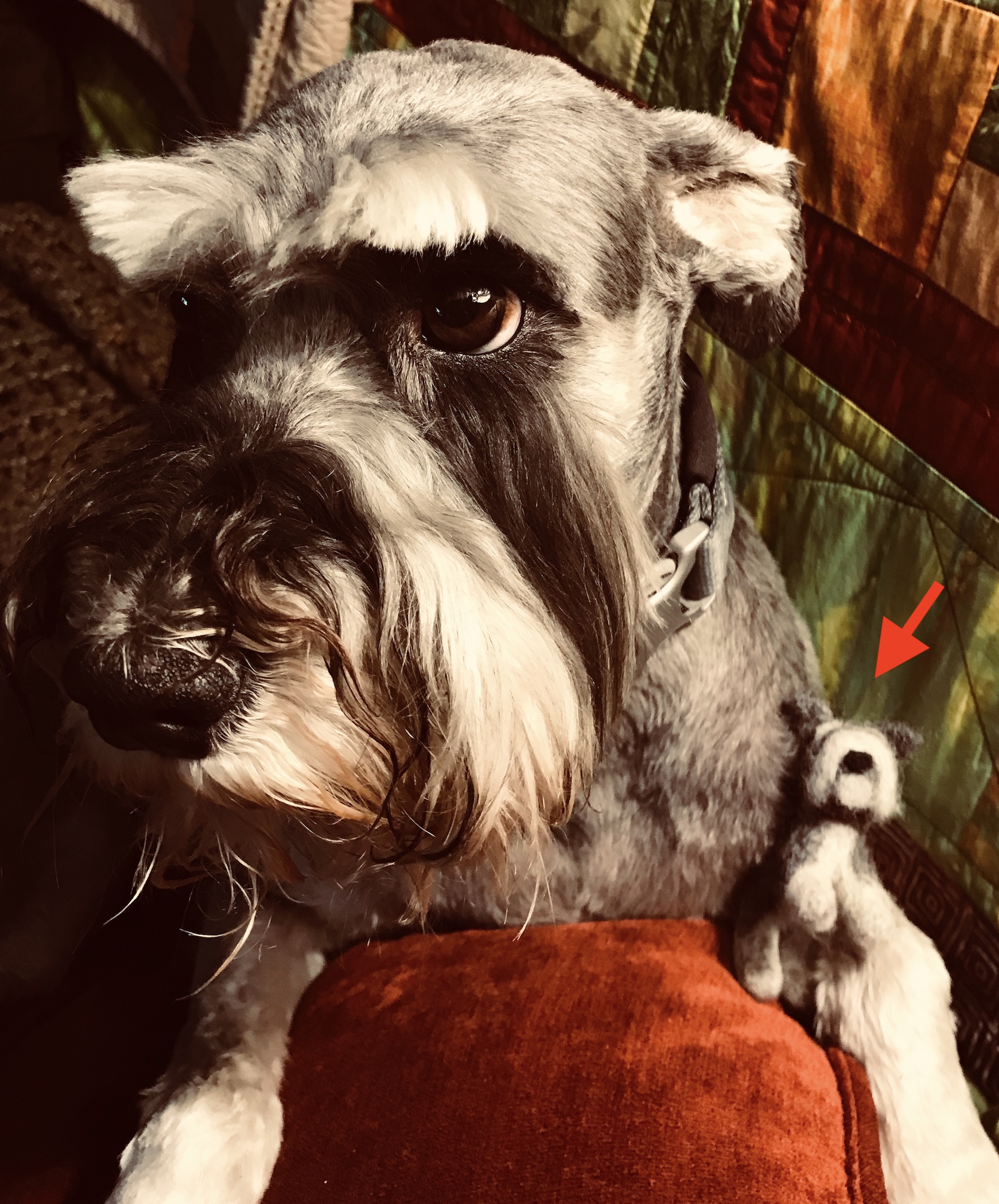 2018-07-27_18-15-59_532