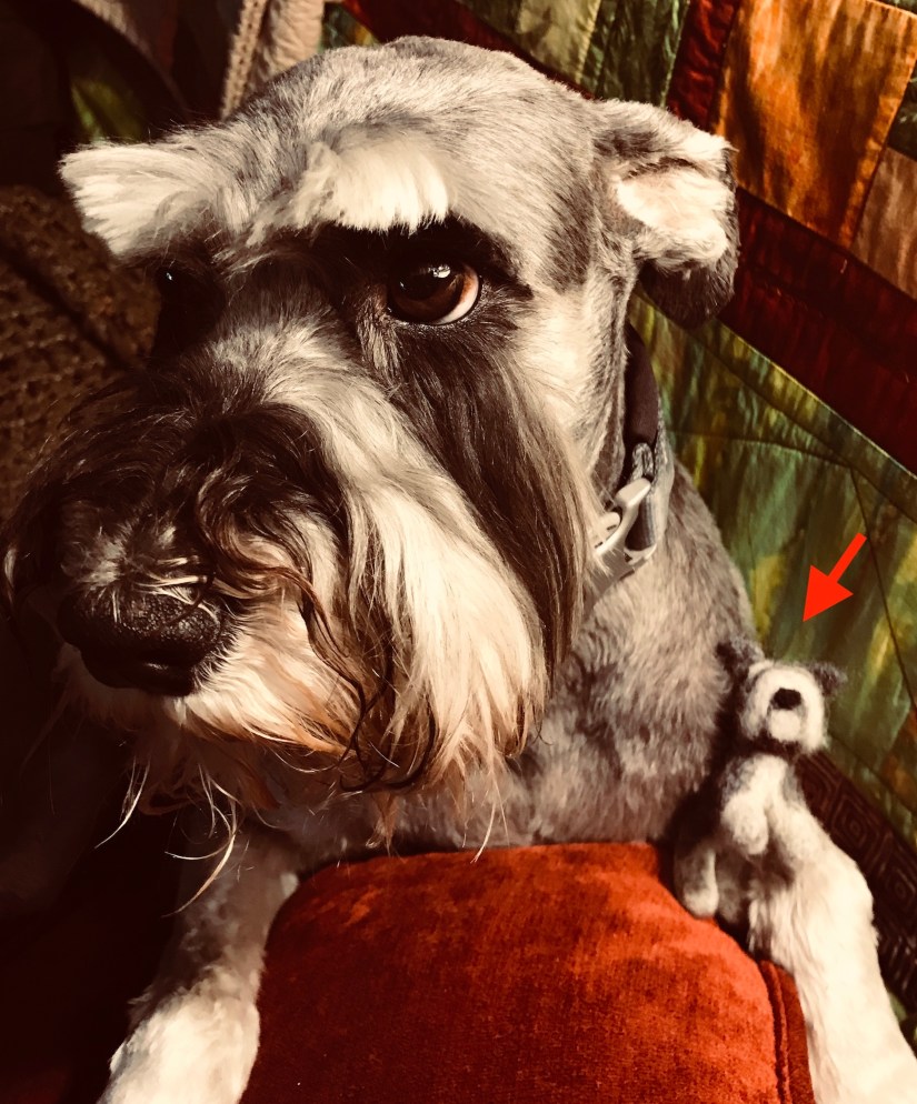 2018-07-27_18-15-59_532