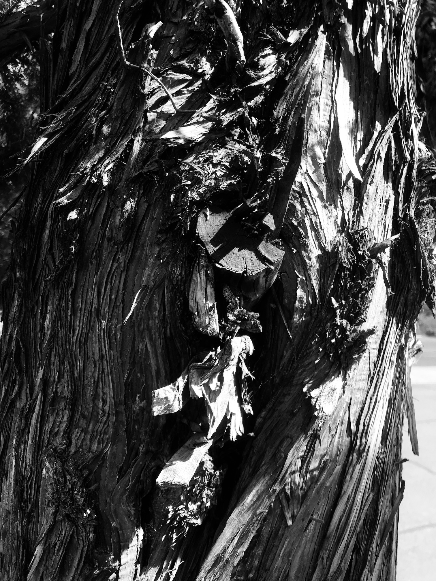 2018-08-25_11-04-58_702