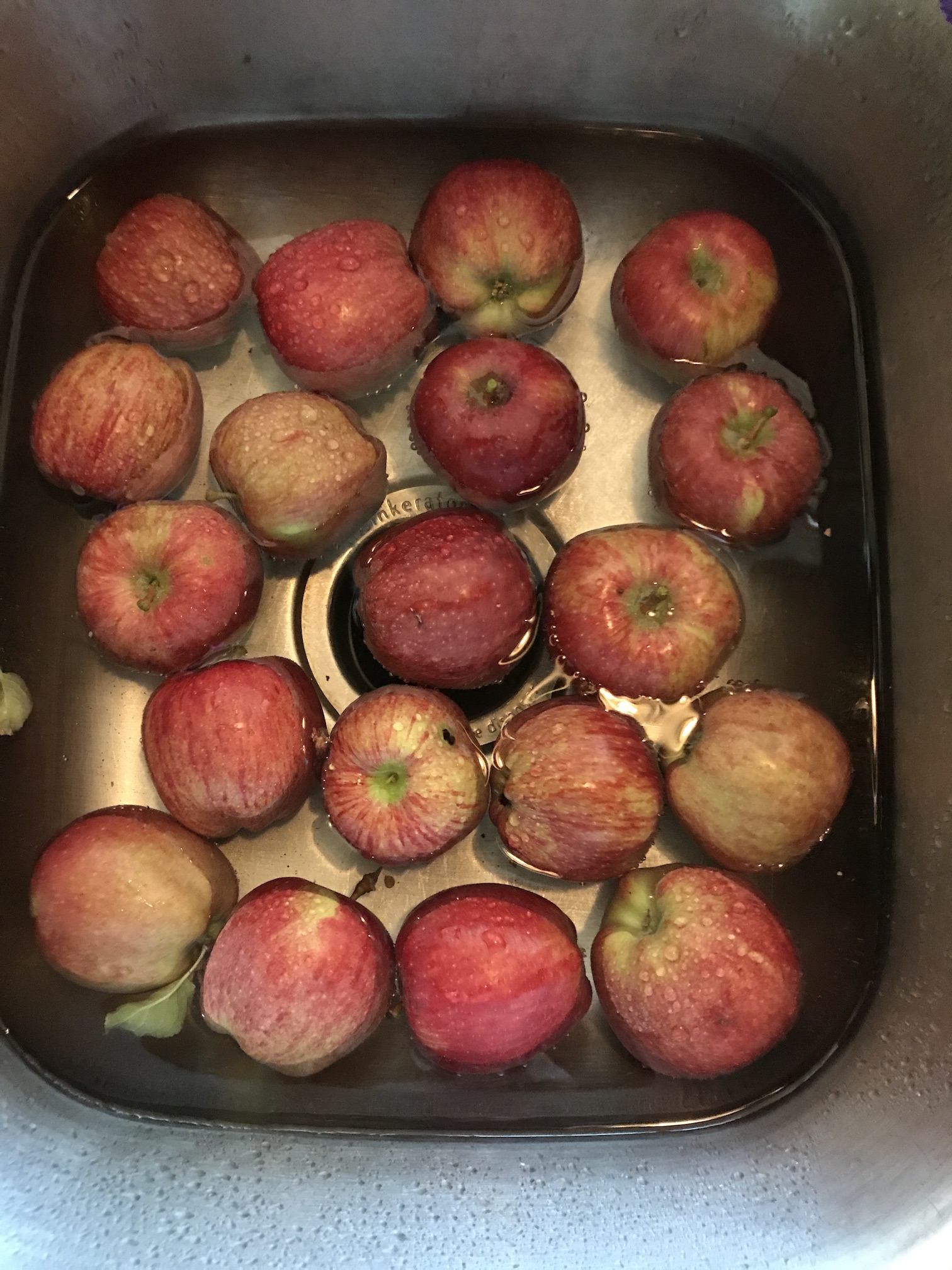 2018-09-15_12-03-38_871