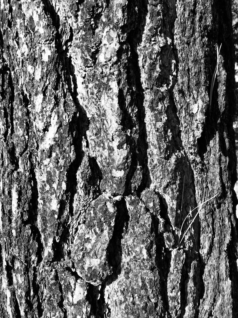 2018-09-21_09-23-09_467