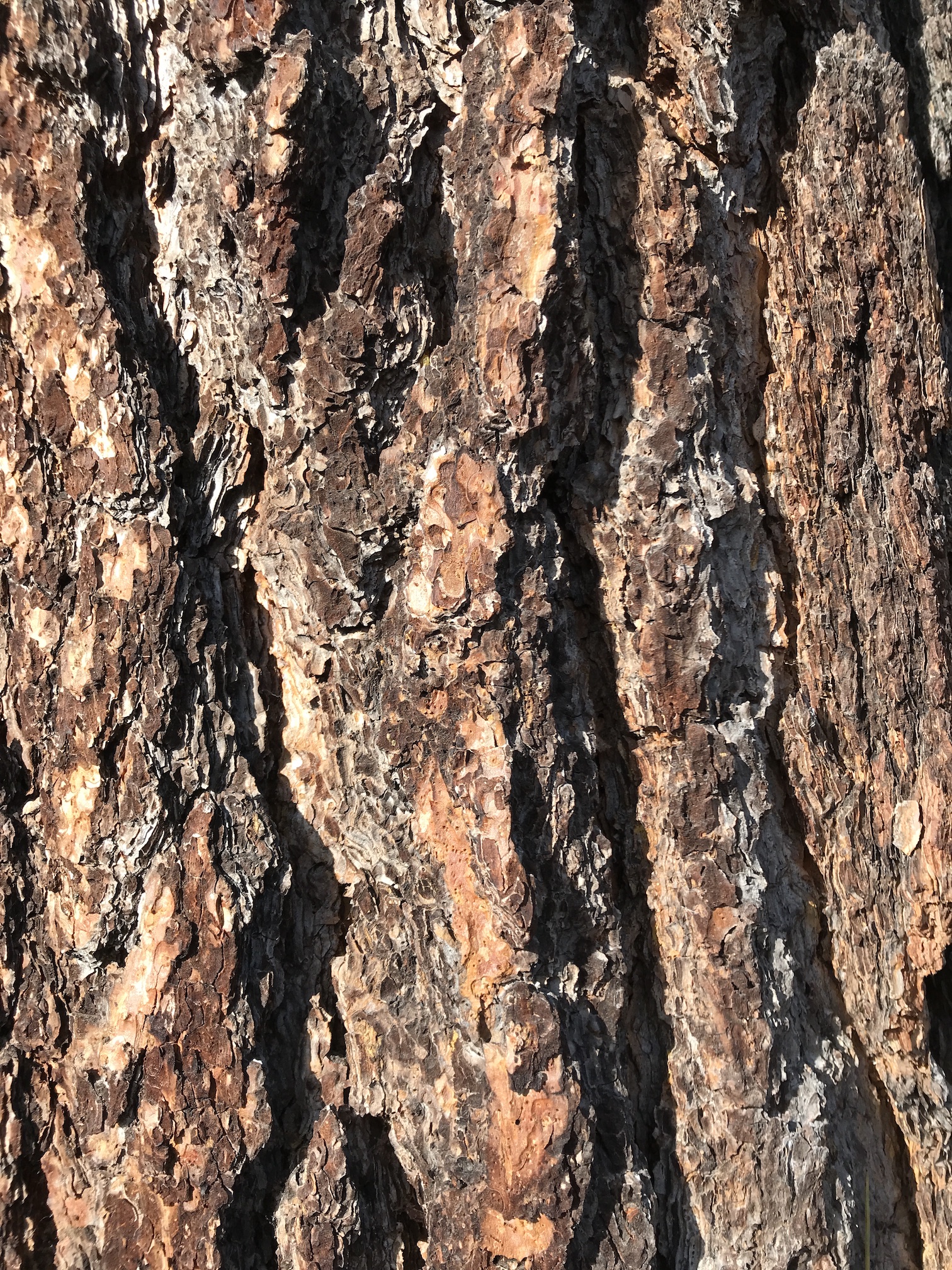 2018-09-21_09-23-22_212