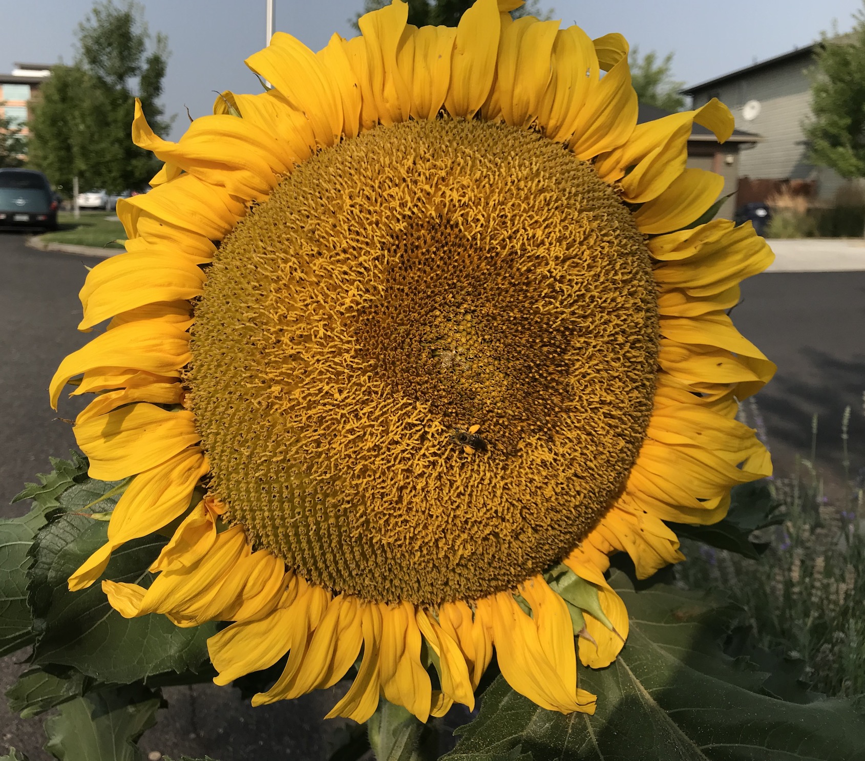 2018-08-22_09-31-23_518