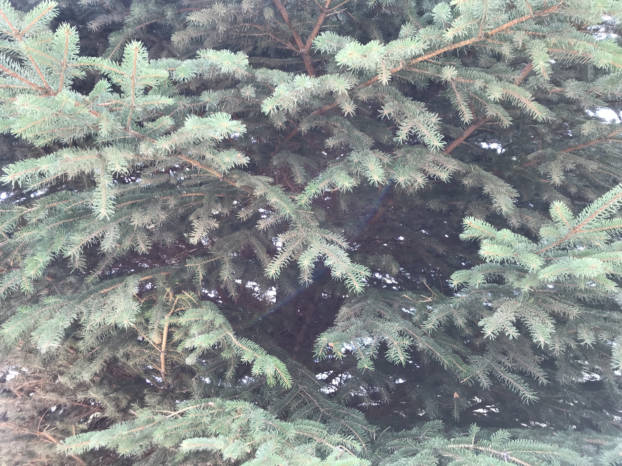 2018-09-15_11-59-31_954