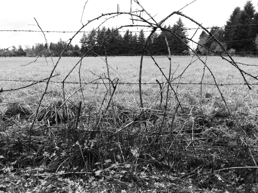 2018-10-26_15-42-45_849