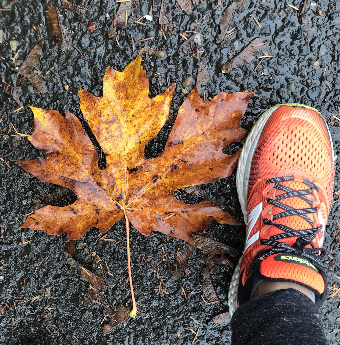 2018-10-26_15-59-23_309