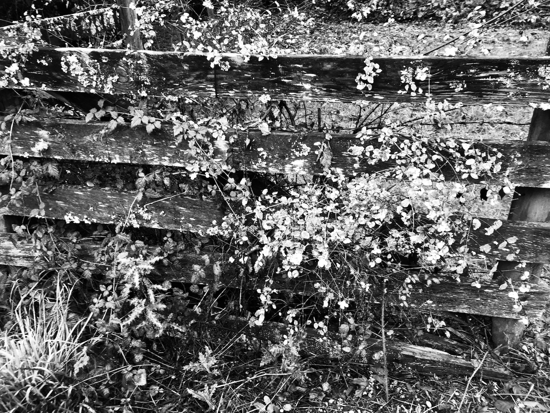 2018-10-27_09-14-58_843