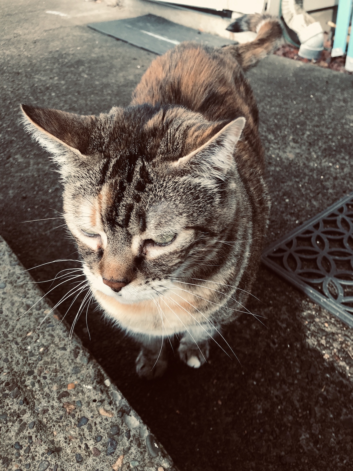 2018-10-27_10-50-06_117