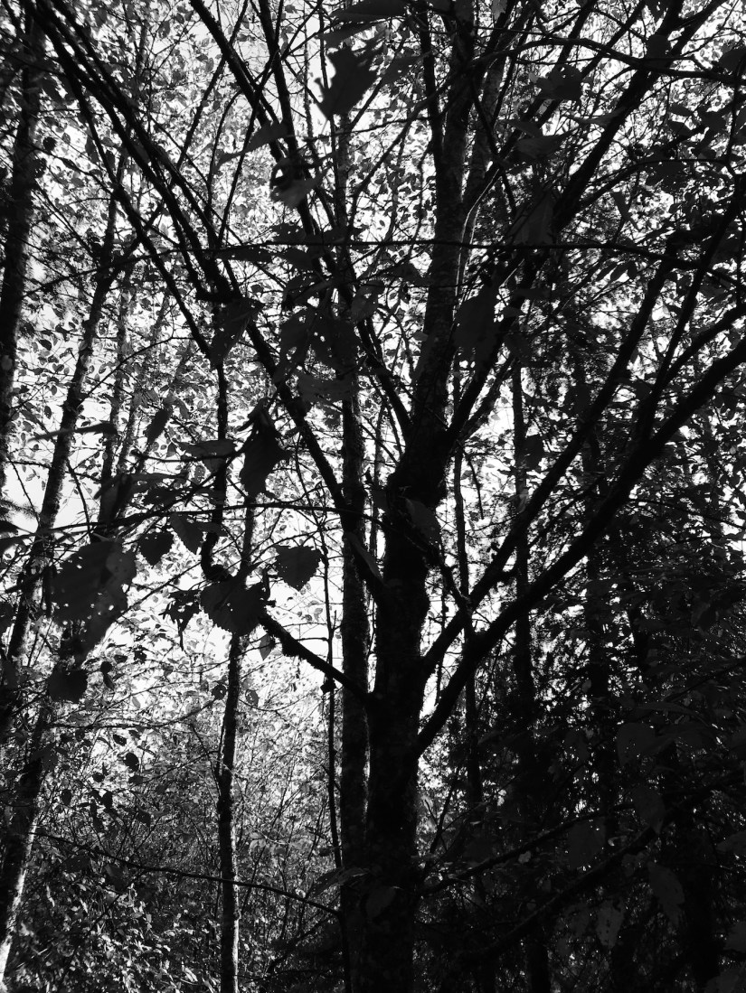 2018-10-27_10-58-18_466