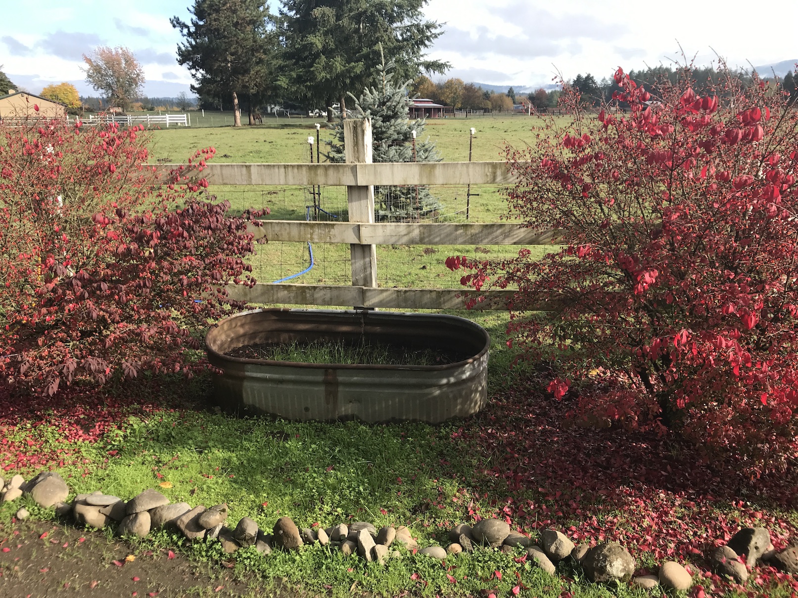 2018-10-27_11-04-14_053